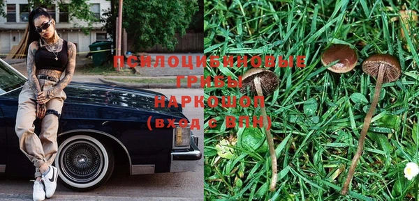 прущая мука Вязники