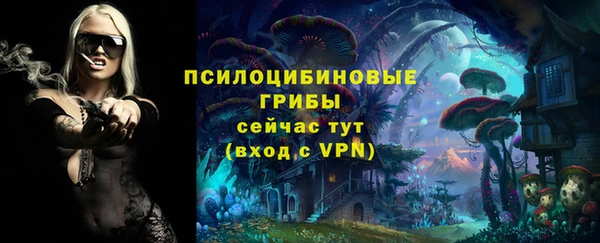 кокаин Вяземский