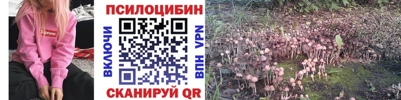 Псилоцибиновые грибы прущие грибы  Ачинск 