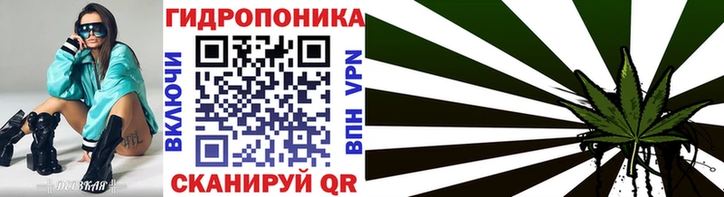 Бошки Шишки гибрид  Ачинск 